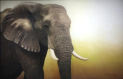 Fe, pastel sobre tela, 70 x 103 cm