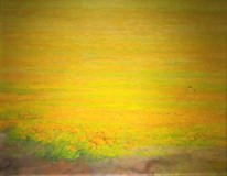 Campos de luz, óleo sobre tela, 70 x 90 cm