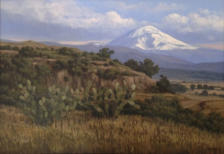 Nopaleras, óleo sobre tela, 70 x 100 cm