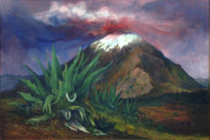 Popo y maguey, óleo sobre tela, 80 x 120 cm